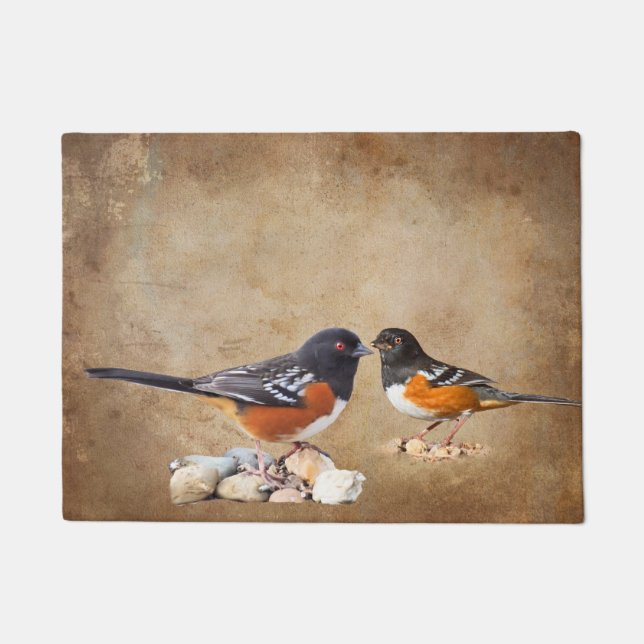 FELPUDO TOWHEE MANCHADO (Anverso)