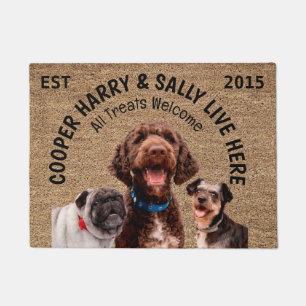 Felpudo Tres perros personalizados