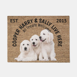 Felpudo Tres Perros Personalizados Perros Perros