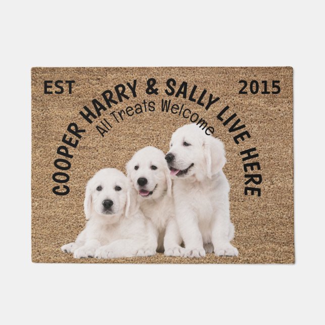 Felpudo Tres Perros Personalizados Perros Perros (Anverso)