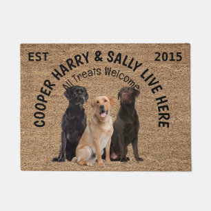 Felpudo Tres Perros Personalizados Perros Perros