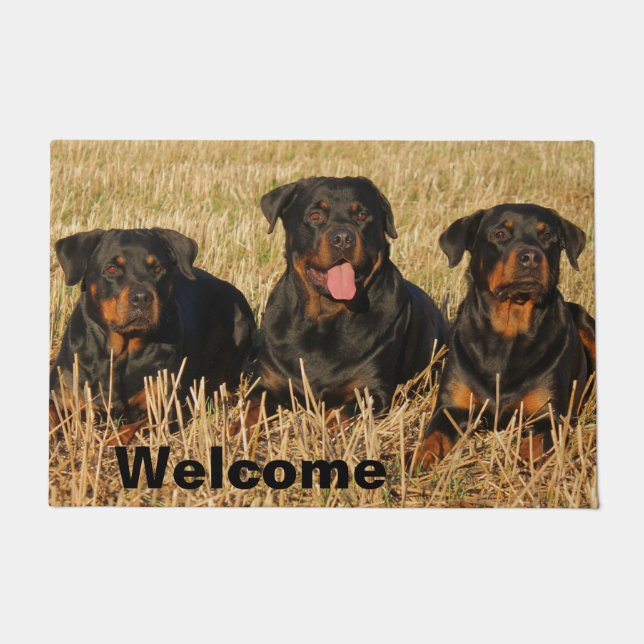 Felpudo Tres perros Rottweiler - Bienvenidos al paquete de (Anverso)