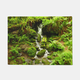 Felpudo Trillium Falls en el Parque Nacional Redwood