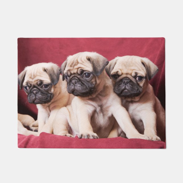 Felpudo Trillizos Pug (Anverso)
