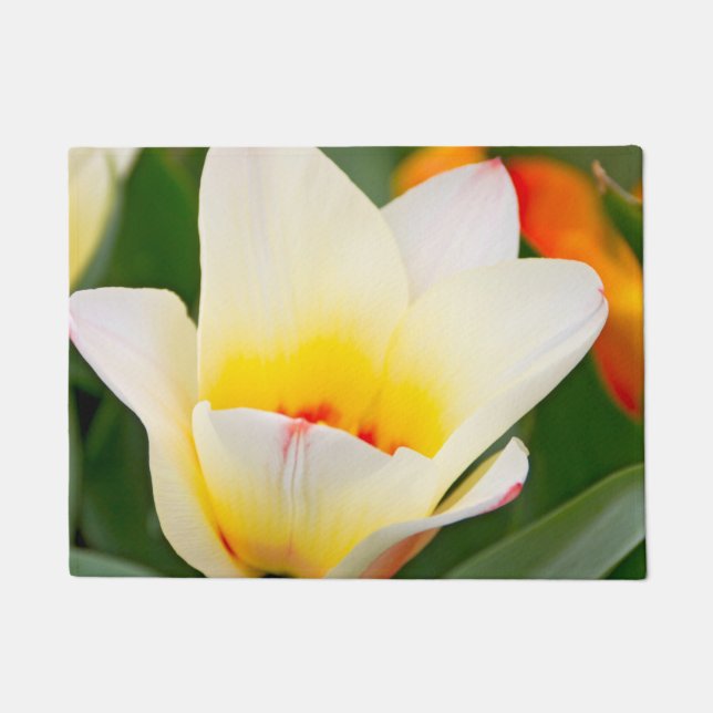 Felpudo Tulip blanco (Anverso)