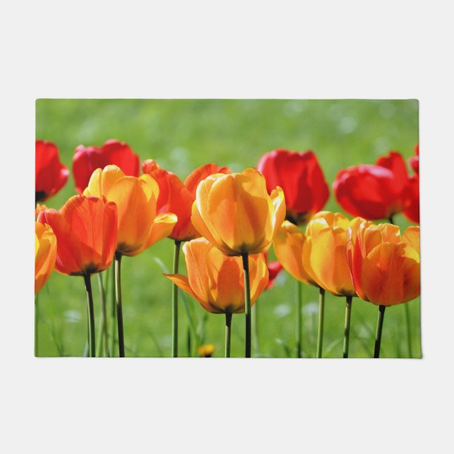 Felpudo Tulipanes Amarillos Y Rojos (Anverso)