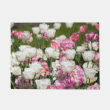 Tulipanes blancos y rosas brillantes en un día sol