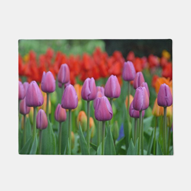 Felpudo Tulipanes de primavera púrpura (Anverso)
