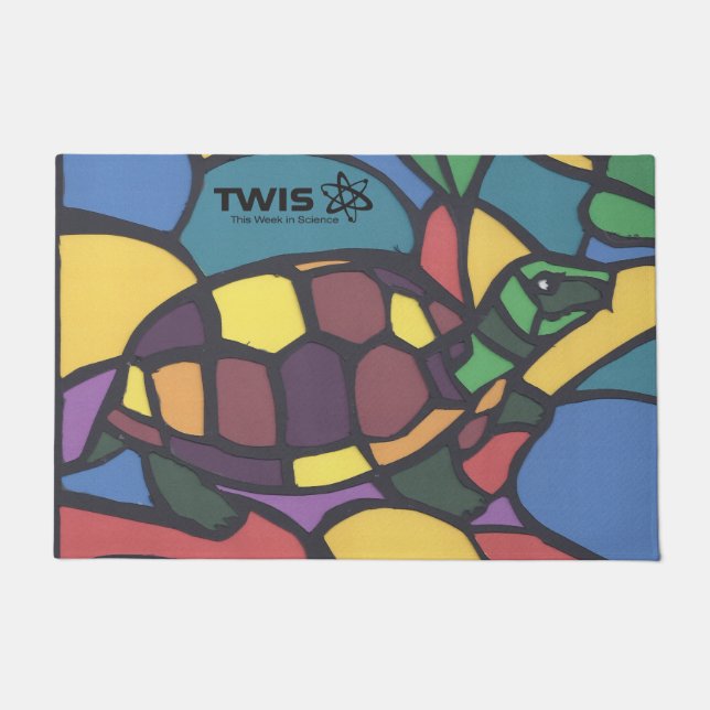 Felpudo TWITTER #blairsanimalcorner Box Turtle Doormat  (Anverso)