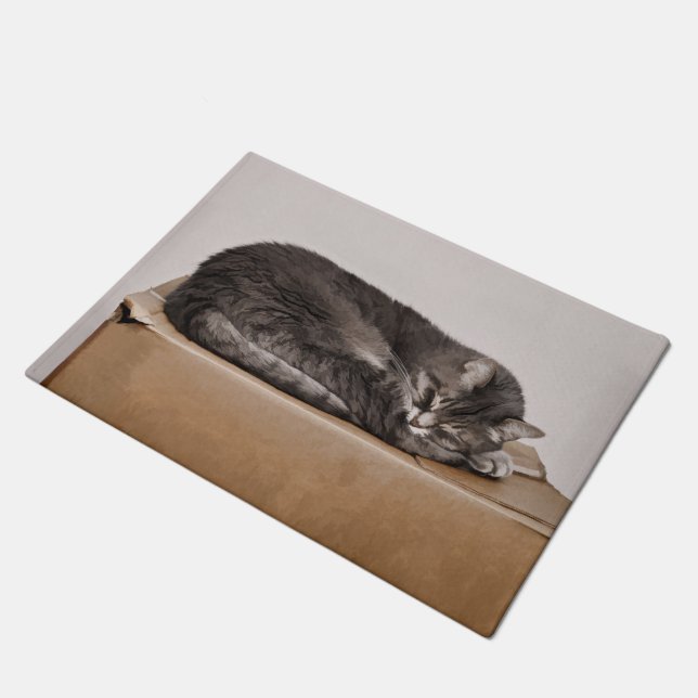 Felpudo Un Gato De Pestaña Corta Durmiendo En Una Caja (Angular)