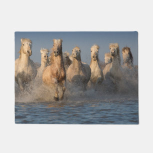 Felpudo Un grupo de caballos blancos en la región de