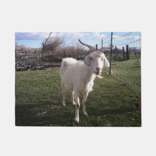 Felpudo Una cabra joven