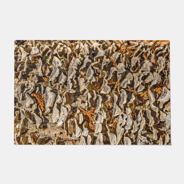 Felpudo Una fascinación con hongos (Anverso)