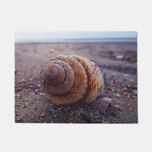 Felpudo Una vista macra de Shell espiral