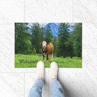 Vaca dulce en el pasto, fotografía, diversión