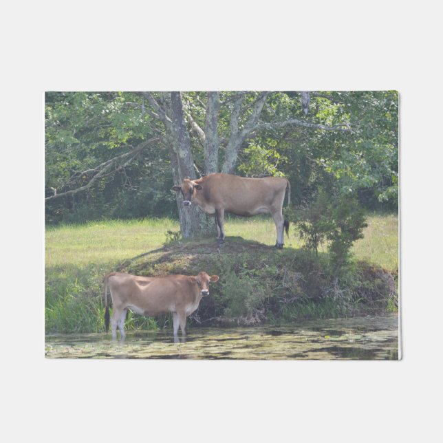 Felpudo Vacas de país (Anverso)