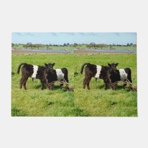 Felpudo Vacas Galloway Belladas Para Bebés En El País, Pue