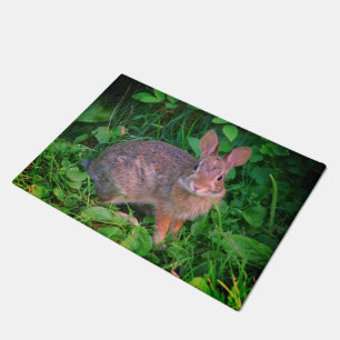 Felpudo Vida silvestre de conejo marrón agudo