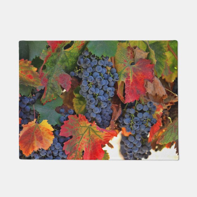 Felpudo Viñedo de Otoño (Anverso)