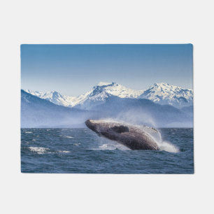 Felpudo Violación de la ballena jorobada en Alaska