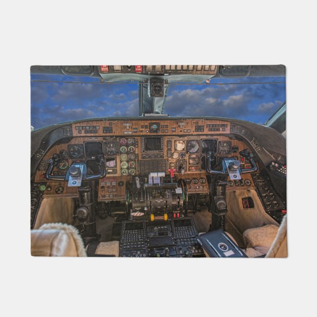 FELPUDO VISIÓN DESDE LA CARLINGA (Anverso)