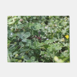 Felpudo Wasp Door Mat
