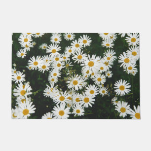 Felpudo White Oxeye Daisy, Moon Daisy Meadow