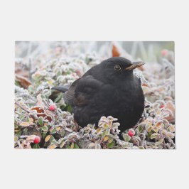 Felpudo Winter Blackbird