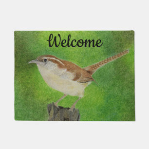Felpudo Wren