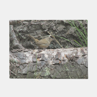 Felpudo Wren de casa