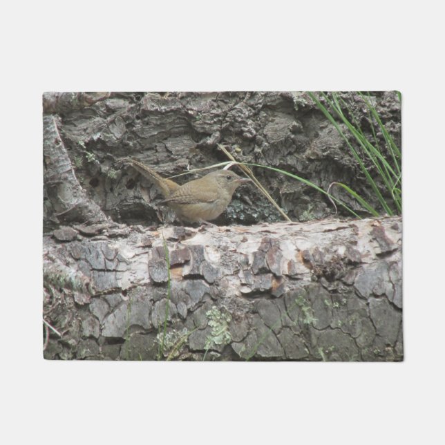 Felpudo Wren de casa (Anverso)