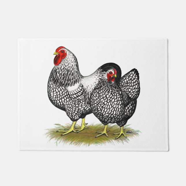 Felpudo Wyandotte:  Pares de plata (Anverso)