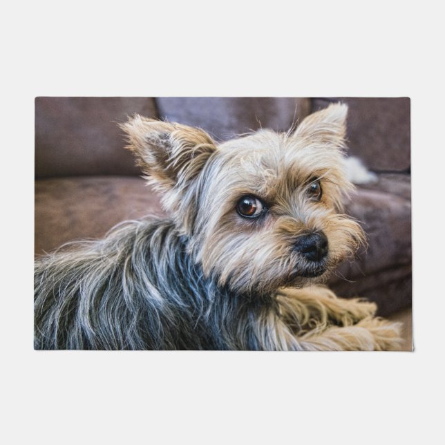 Felpudo Yorkshire Terrier (Anverso)