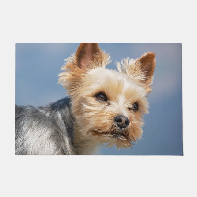 Felpudo Yorkshire Terrier (Anverso)