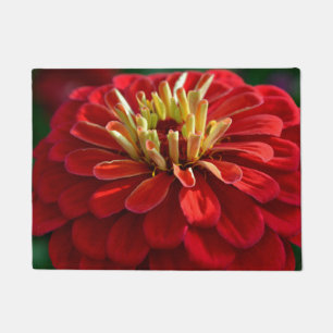 Felpudo zinnia roja