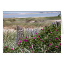 Fence Chatam Light Beach