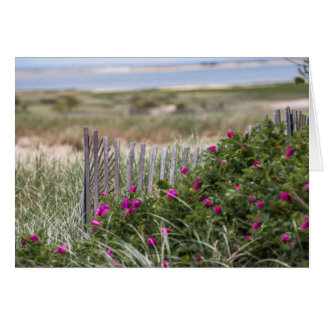 Fence Chatam Light Beach