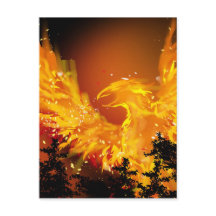 Fénix en la postal de vuelo