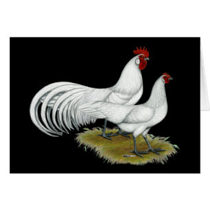 Fénix: Pareja blanca