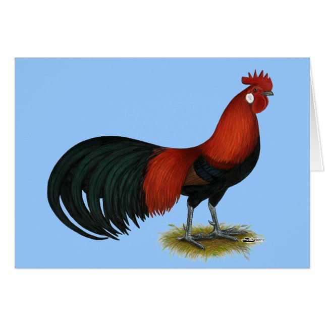 Fénix: Rooster BB (Anverso (Horizontal))