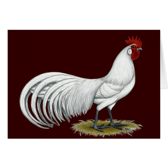 Fénix: Rooster Blanco (Anverso (Horizontal))