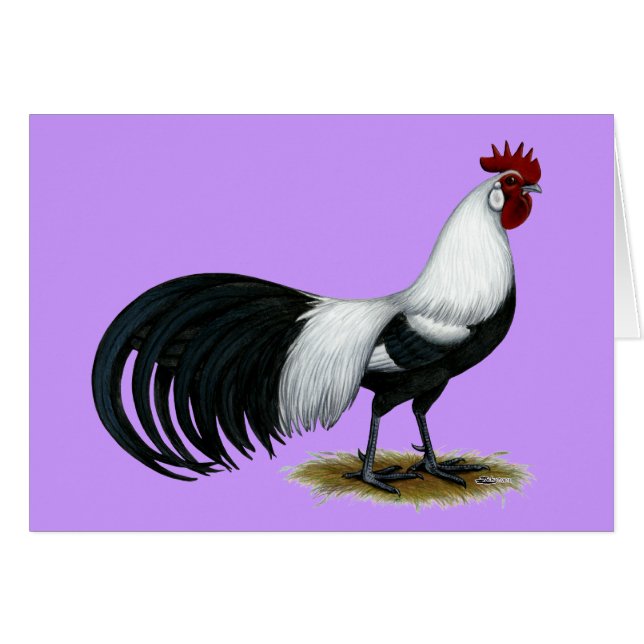Fénix: Rooster Plateado de Duckwing (Anverso (Horizontal))