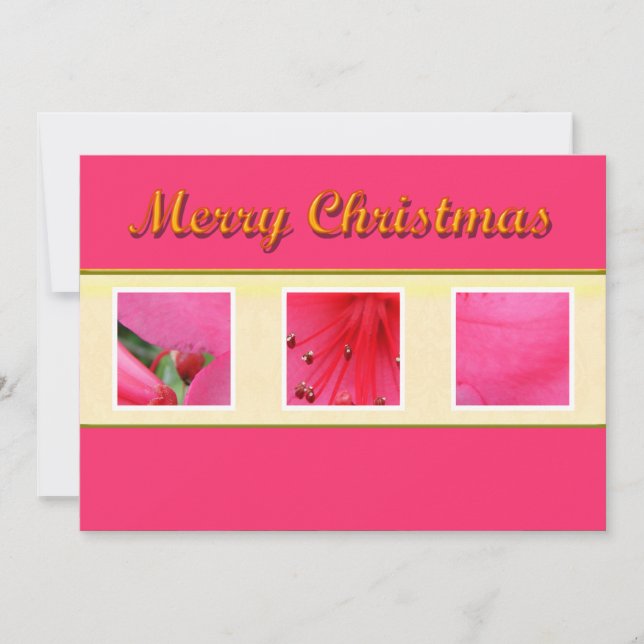 Feria tarjeta de bienvenida de flor rosa de Navida (Anverso)