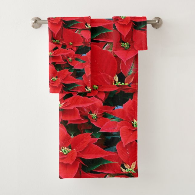 Feriado de Poinsettia Roja (In situ)
