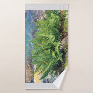 Fern cerca del mar