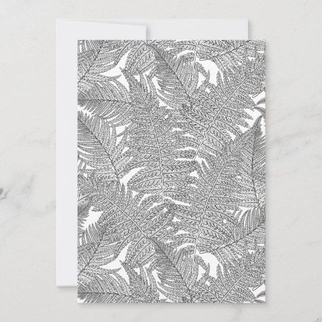 Fern en blanco y negro (Anverso)