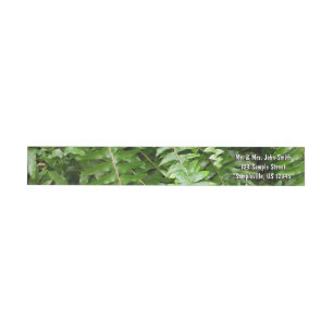 Fern Fronds I Green Nature