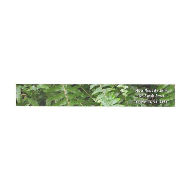 Fern Fronds I Green Nature (Individual)