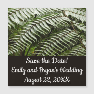 Fern Fronds II Naturaleza verde oscura