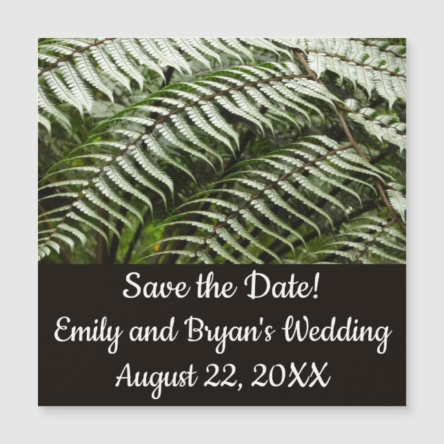 Fern Fronds II Naturaleza verde oscura (Anverso)